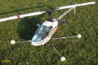 eco8_3.jpg